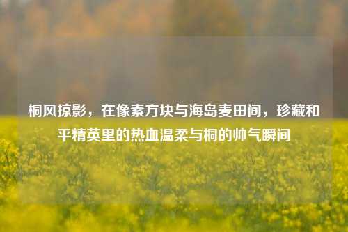 桐风掠影,在像素方块与海岛麦田间,珍藏和平精英里的热血温柔与桐的帅气瞬间