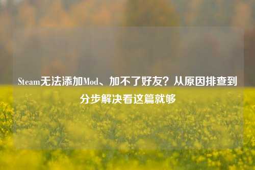 Steam无法添加Mod、加不了好友？从原因排查到分步解决看这篇就够