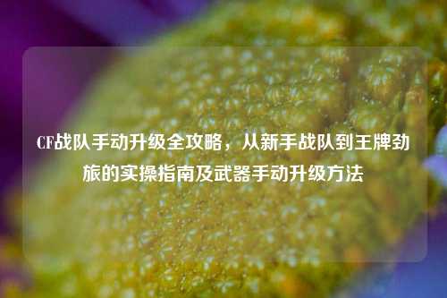 CF战队手动升级全攻略，从新手战队到王牌劲旅的实操指南及武器手动升级方法