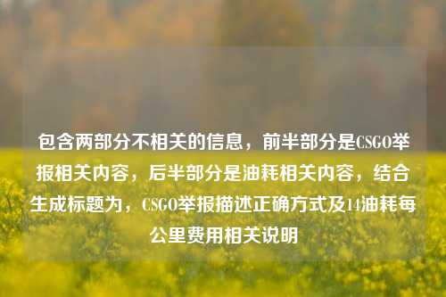 包含两部分不相关的信息，前半部分是CSGO举报相关内容，后半部分是油耗相关内容，结合生成标题为，CSGO举报描述正确方式及14油耗每公里费用相关说明
