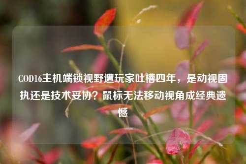 COD16主机端锁视野遭玩家吐槽四年，是动视固执还是技术妥协？鼠标无法移动视角成经典遗憾