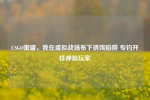 CSGO蜜罐，我在虚拟战场布下诱饵陷阱 专钓开挂神仙玩家