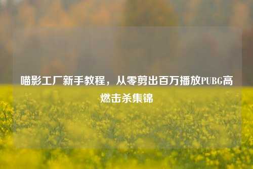 喵影工厂新手教程,从零剪出百万播放PUBG高燃击杀集锦