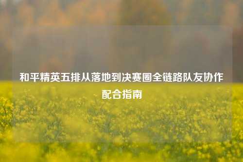 和平精英五排从落地到决赛圈全链路队友协作配合指南