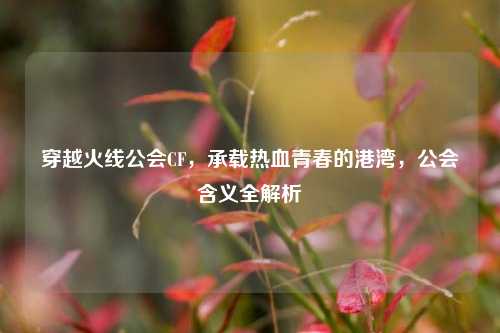 穿越火线公会CF,承载热血青春的港湾,公会含义全解析