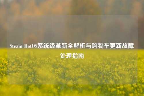 Steam HotOS系统级革新全解析与购物车更新故障处理指南