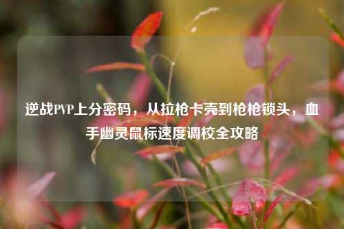 逆战PVP上分密码，从拉枪卡壳到枪枪锁头，血手幽灵鼠标速度调校全攻略