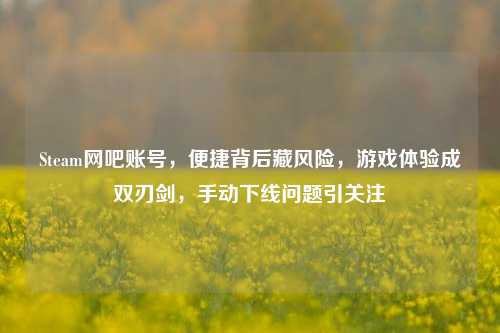 Steam网吧账号，便捷背后藏风险，游戏体验成双刃剑，手动下线问题引关注
