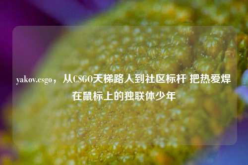 yakov.csgo,从CSGO天梯路人到社区标杆 把热爱焊在鼠标上的独联体少年