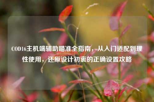 COD16主机端辅助瞄准全指南,从入门适配到理性使用,还原设计初衷的正确设置攻略