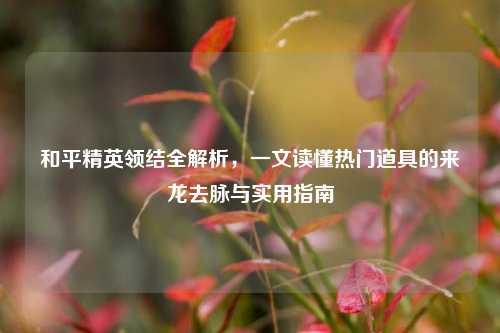 和平精英领结全解析,一文读懂热门道具的来龙去脉与实用指南
