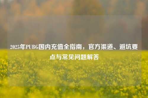 2025年PUBG国内充值全指南，官方渠道、避坑要点与常见问题解答