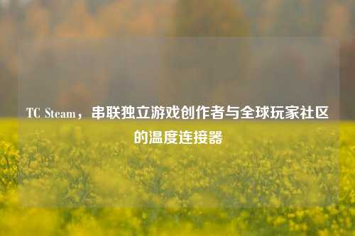 TC Steam，串联独立游戏创作者与全球玩家社区的温度连接器