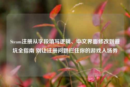Steam注册从字段填写逻辑、中文界面修改到避坑全指南 别让注册问题拦住你的游戏入场券