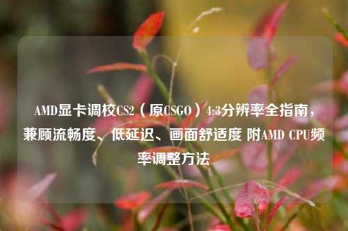 AMD显卡调校CS2（原CSGO）4:3分辨率全指南，兼顾流畅度、低延迟、画面舒适度 附AMD CPU频率调整方法