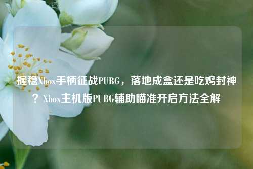 握稳Xbox手柄征战PUBG,落地成盒还是吃鸡封神?Xbox主机版PUBG辅助瞄准开启方法全解