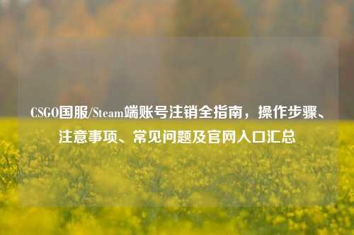 CSGO国服/Steam端账号注销全指南，操作步骤、注意事项、常见问题及官网入口汇总