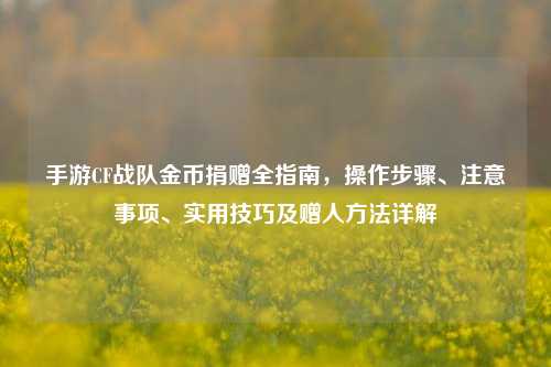 手游CF战队金币捐赠全指南,操作步骤、注意事项、实用技巧及赠人方法详解