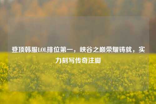 登顶韩服LOL排位第一,峡谷之巅荣耀铸就,实力刻写传奇注脚