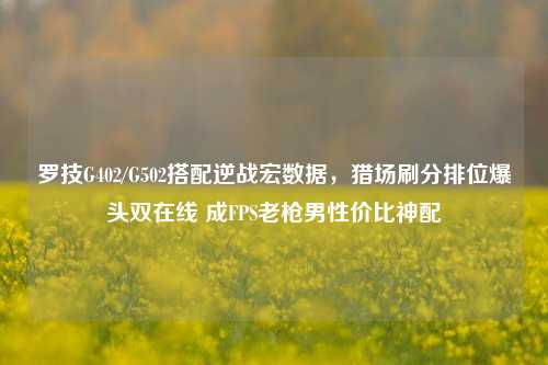 罗技G402/G502搭配逆战宏数据,猎场刷分排位爆头双在线 成FPS老枪男性价比神配