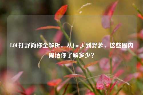 LOL打野简称全解析,从Jungle到野爹,这些圈内黑话你了解多少?