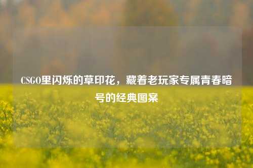 CSGO里闪烁的草印花,藏着老玩家专属青春暗号的经典图案