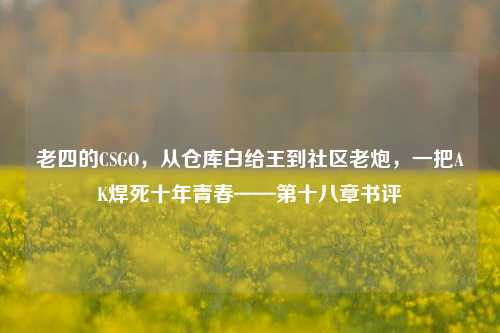 老四的CSGO,从仓库白给王到社区老炮,一把AK焊死十年青春——第十八章书评