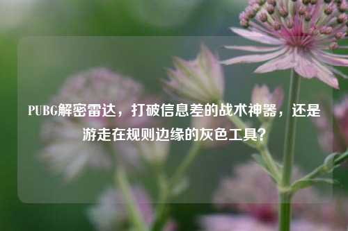 PUBG解密雷达,打破信息差的战术神器,还是游走在规则边缘的灰色工具?