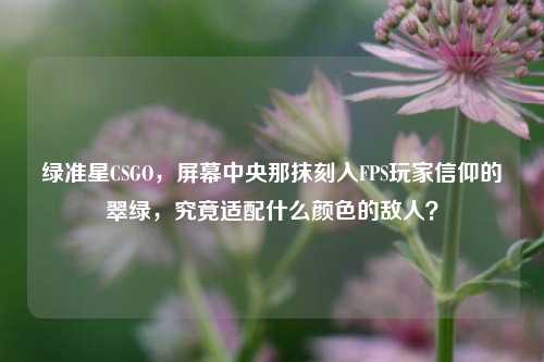 绿准星CSGO,屏幕中央那抹刻入FPS玩家信仰的翠绿,究竟适配什么颜色的敌人?
