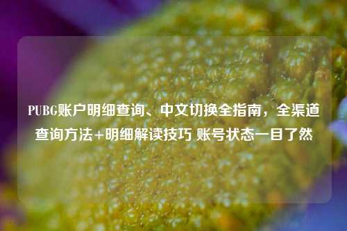 PUBG账户明细查询、中文切换全指南,全渠道查询方法+明细解读技巧 账号状态一目了然