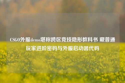 CSGO外服demo堪称跨区竞技隐形教科书 藏普通玩家进阶密码与外服启动器代码