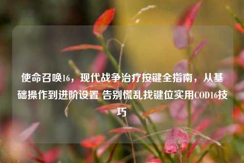 使命召唤16,现代战争治疗按键全指南,从基础操作到进阶设置 告别慌乱找键位实用COD16技巧