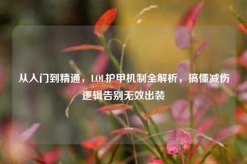 从入门到精通,LOL护甲机制全解析,搞懂减伤逻辑告别无效出装