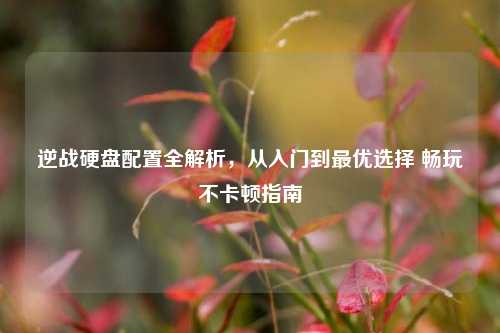 逆战硬盘配置全解析,从入门到最优选择 畅玩不卡顿指南