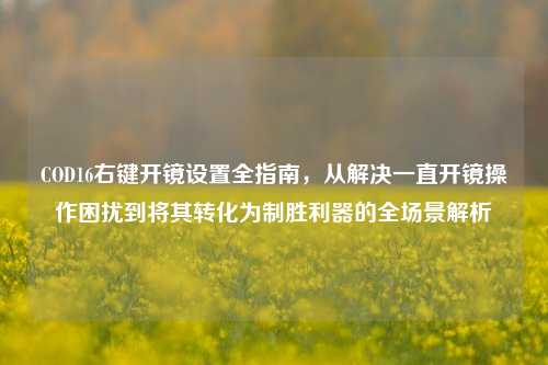 COD16右键开镜设置全指南,从解决一直开镜操作困扰到将其转化为制胜利器的全场景解析