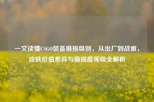 一文读懂CSGO装备磨损级别，从出厂到战痕，皮肤价值差异与磨损度等级全解析