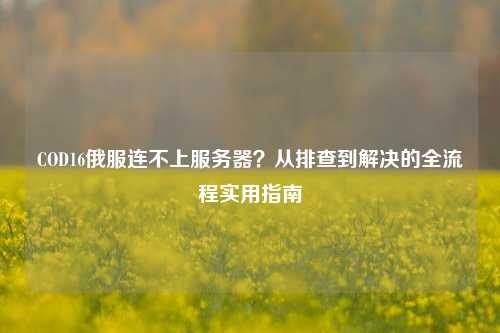 COD16俄服连不上服务器?从排查到解决的全流程实用指南