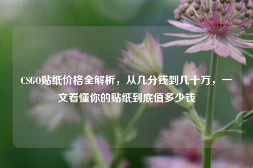 CSGO贴纸价格全解析，从几分钱到几十万，一文看懂你的贴纸到底值多少钱