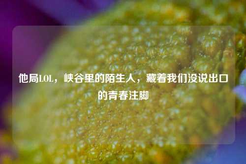 他局LOL,峡谷里的陌生人,藏着我们没说出口的青春注脚