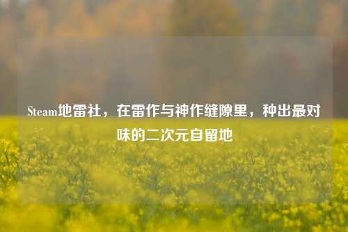 Steam地雷社,在雷作与神作缝隙里,种出最对味的二次元自留地