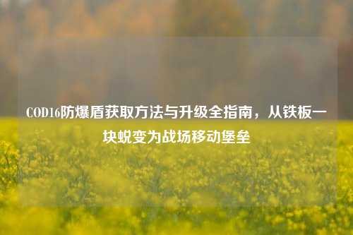 COD16防爆盾获取方法与升级全指南,从铁板一块蜕变为战场移动堡垒