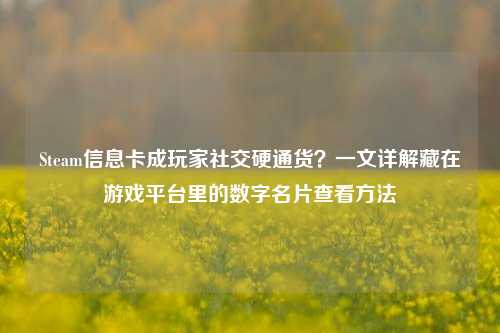 Steam信息卡成玩家社交硬通货?一文详解藏在游戏平台里的数字名片查看方法