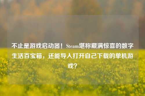 不止是游戏启动器!Steam堪称藏满惊喜的数字生活百宝箱,还能导入打开自己下载的单机游戏?