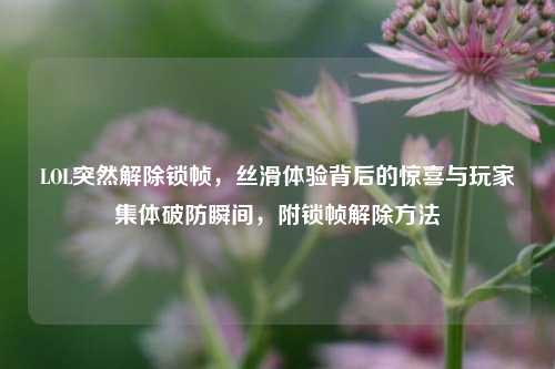 LOL突然解除锁帧,丝滑体验背后的惊喜与玩家集体破防瞬间,附锁帧解除方法