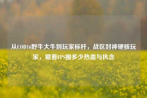 从COD16野牛大牛到玩家标杆,战区封神硬核玩家,藏着FPS圈多少热血与执念