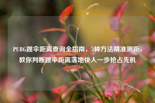 PUBG跳伞距离查询全指南,3种方法精准测距,教你判断跳伞距离落地快人一步抢占先机