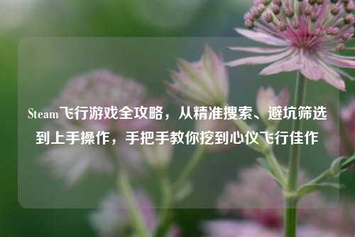 Steam飞行游戏全攻略,从精准搜索、避坑筛选到上手操作,手把手教你挖到心仪飞行佳作