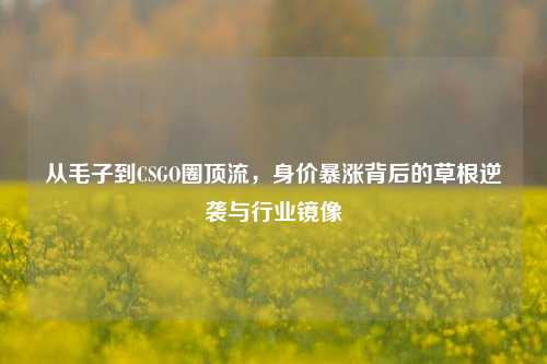 从毛子到CSGO圈顶流,身价暴涨背后的草根逆袭与行业镜像