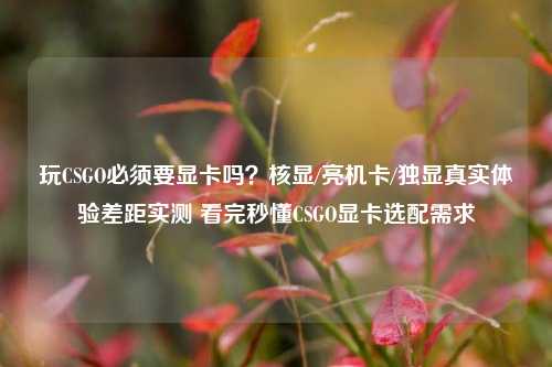 玩CSGO必须要显卡吗?核显/亮机卡/独显真实体验差距实测 看完秒懂CSGO显卡选配需求