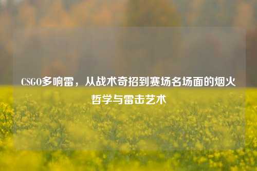CSGO多响雷,从战术奇招到赛场名场面的烟火哲学与雷击艺术
